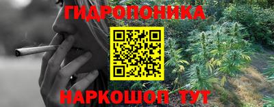 бошки Новозыбков