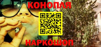 бошки Новозыбков